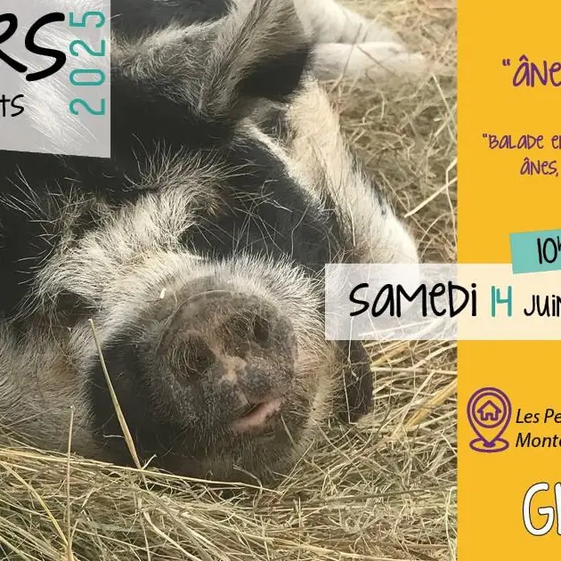 Atelier parents-enfants 2-4 ans