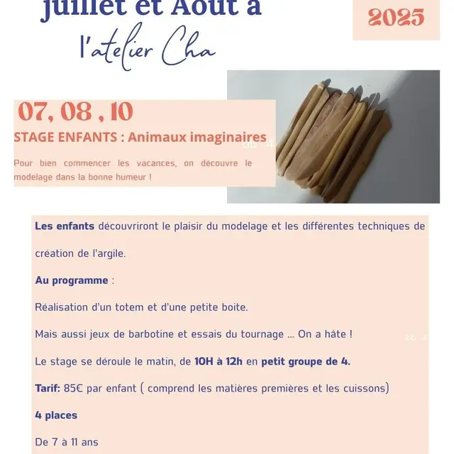 Programme du stage