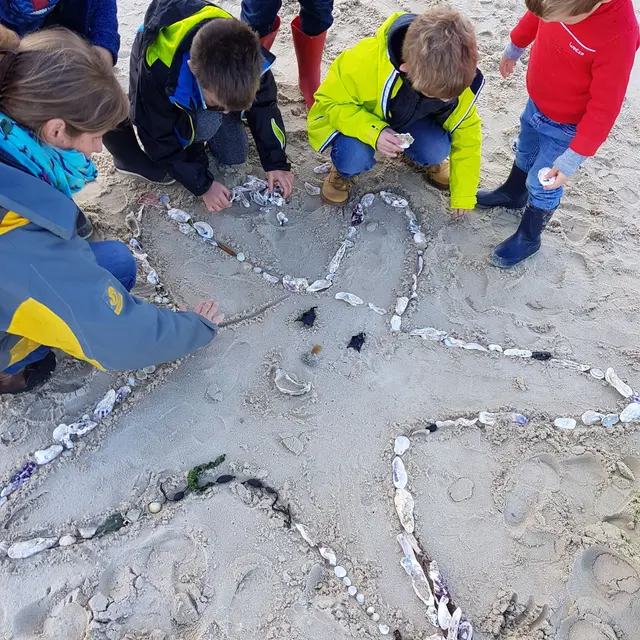 Chasse aux trésors sur la plage