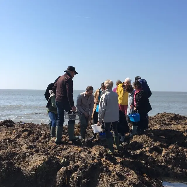 Sortie Dans les pas du cueilleur d'algues