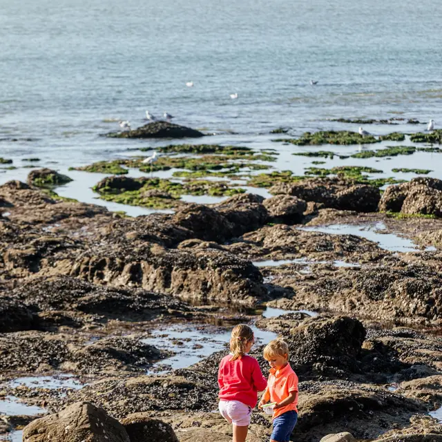 Plage de Monsieur Hulot