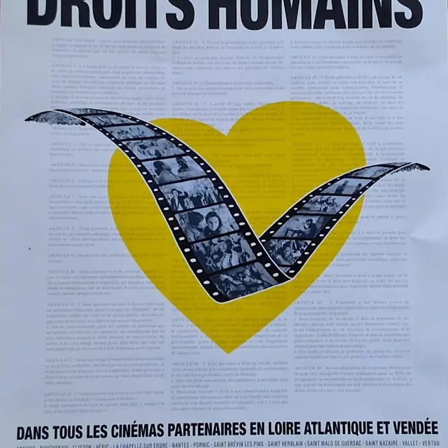 Amnesty international festival cinéma