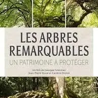 Film arbres remarquables