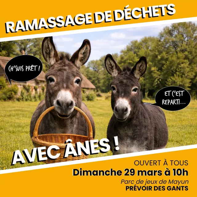 Éco-balade avec des ânes