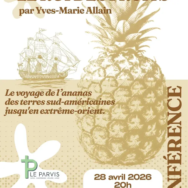 L'ananas, le roi des fruits