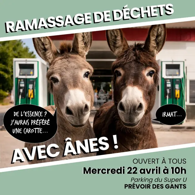 Visuel eco balade ânes