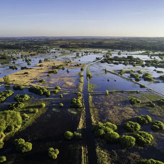 Balade - Vue sur le Marais de Goulaine