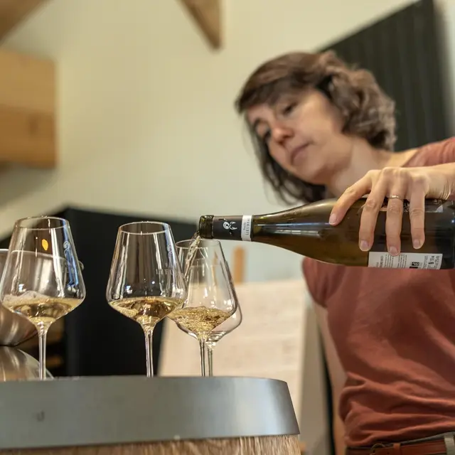 Dégustation des grands cépages blancs de la Loire