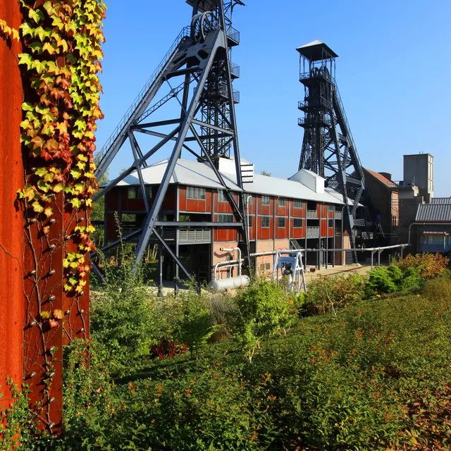 Bois du Cazier@CGT A. Siquet