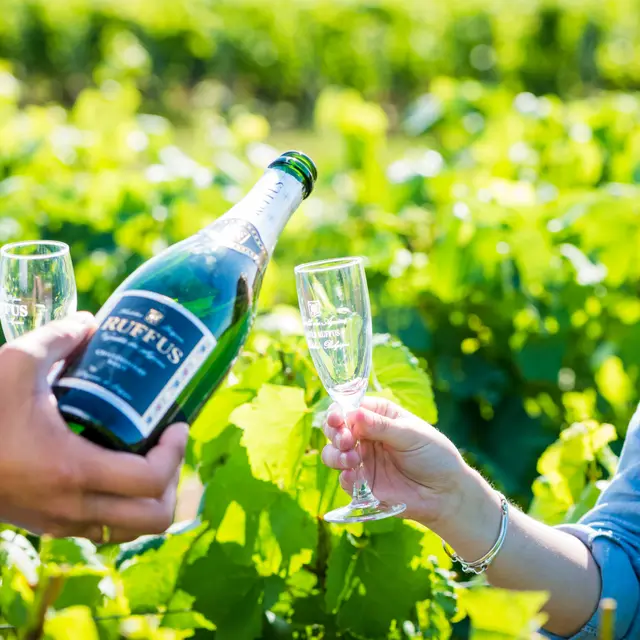 Hainaut_2017_Vignoble_des_Agaises_50