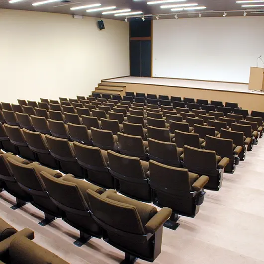 Salle de conférence © Musée royal de Mariemont. Photo M. Lechien