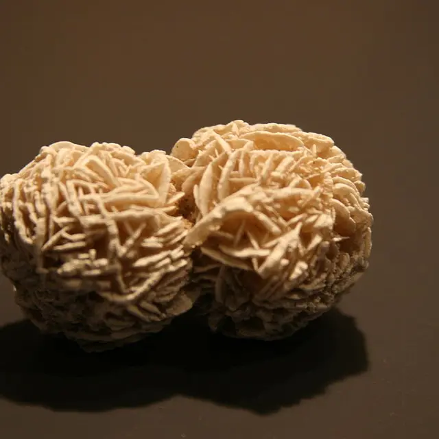 Rose des sables