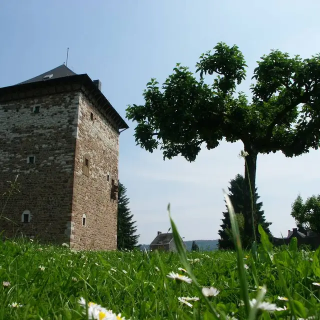 Tour romane