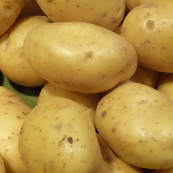 Patates