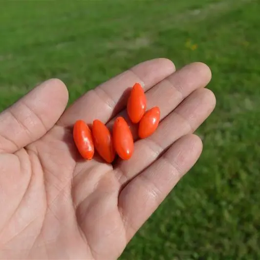 Baie-goji