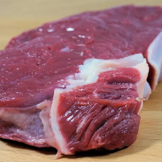 Viande04