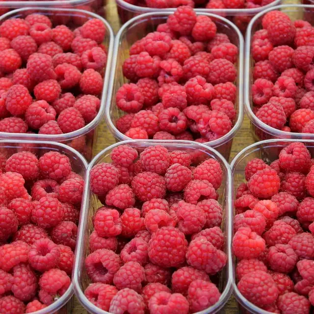 Framboises