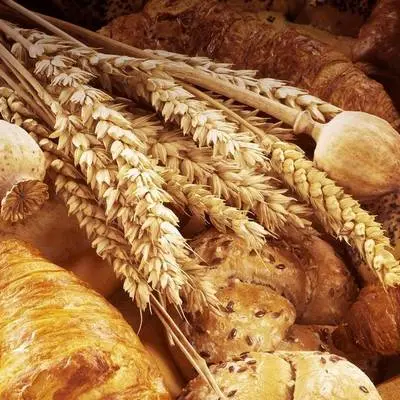Boulangerie02
