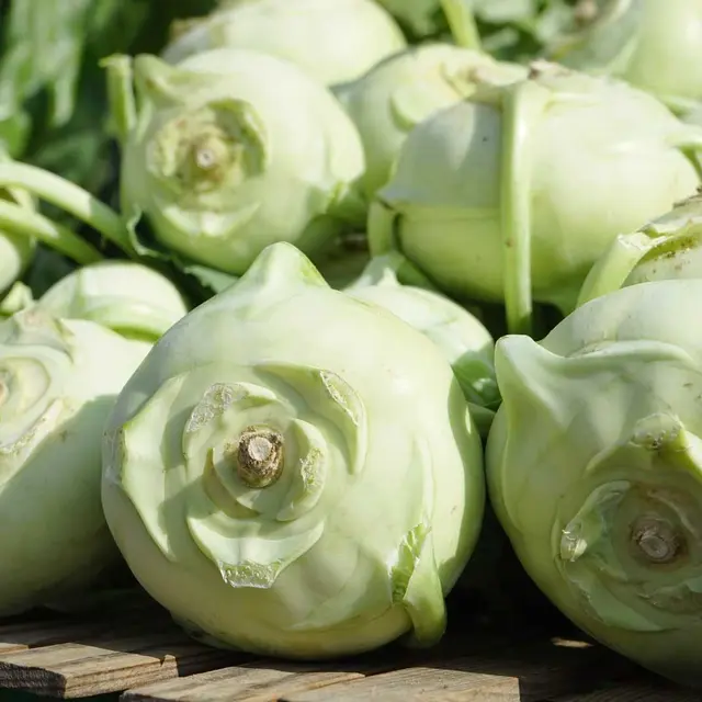 Rutabaga