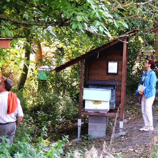 Clos des Abeilles