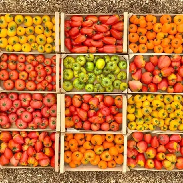 Au Top'in en Bourg - tomates