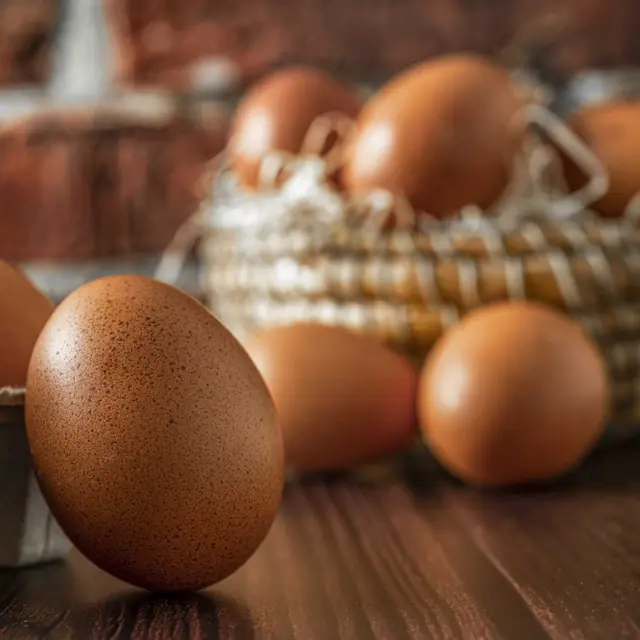 Oeufs