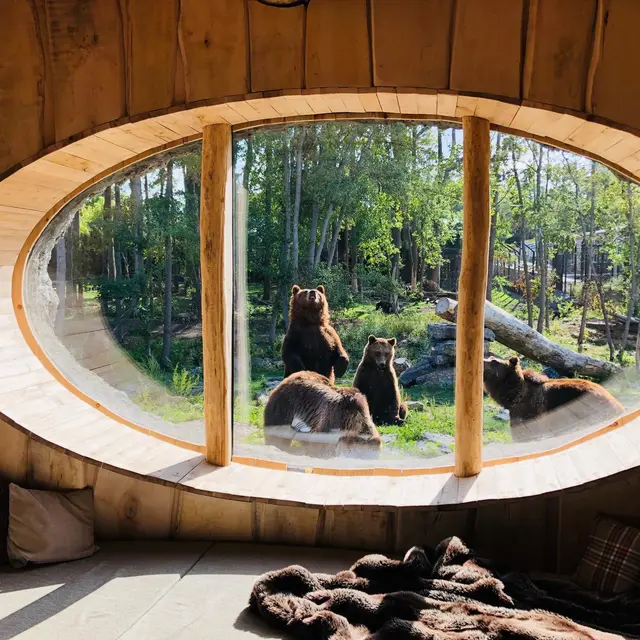 PairiDaiza_Resort_VueSurOurs