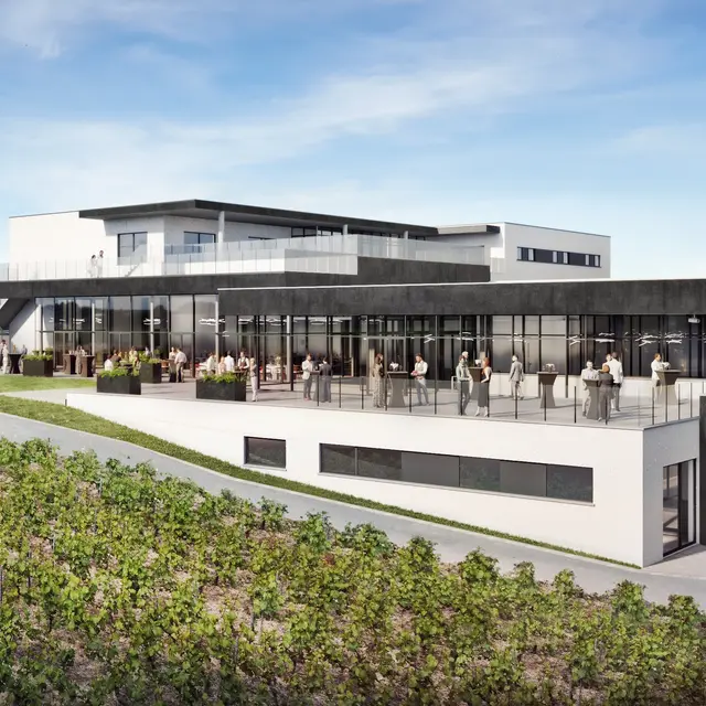 Quevy domaine du Chant d'Eole Vue B 220602(2)