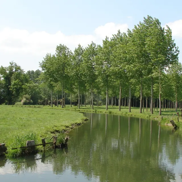 La Mehaigne