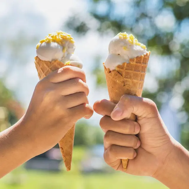 Glace Volpe