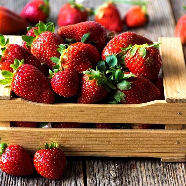 Fraises Waremme