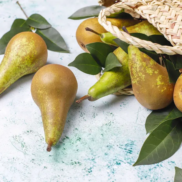 Fruits-frais-ferme-biologique-poires-coings-vue-dessus