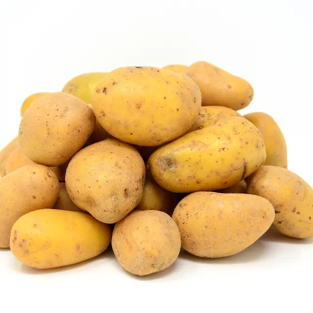 Pommes de terre Ferme Schiepers