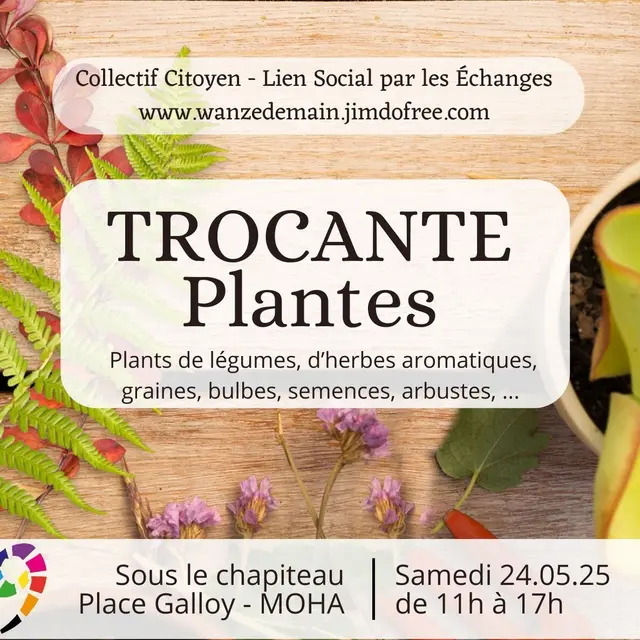 Trocante plantes wanze