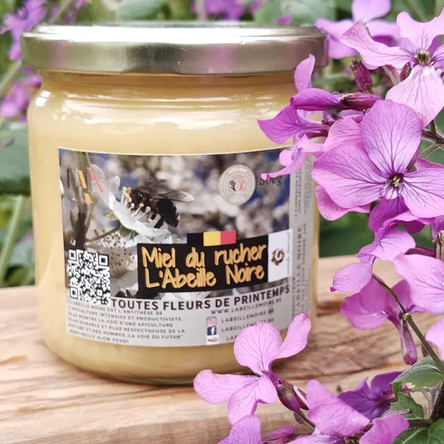 Labeillenoire-miel-toutes-fleurs-de-printemps-500g (3)