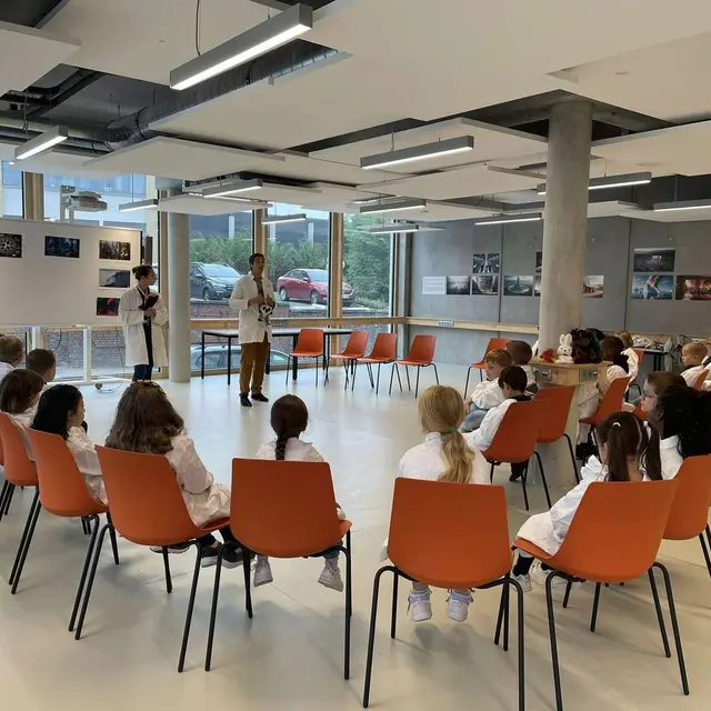 Atelier peluchologie