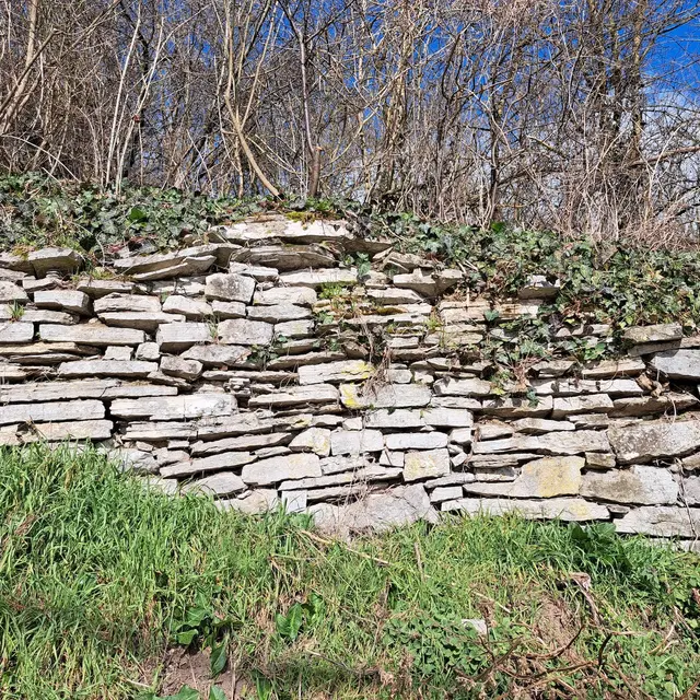 20250312_144316 mur pierre sèche light
