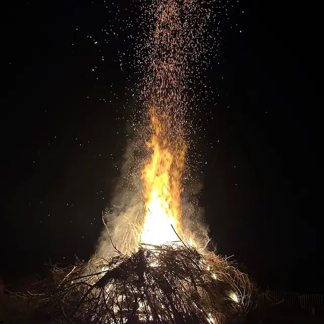 Grand feu bertree