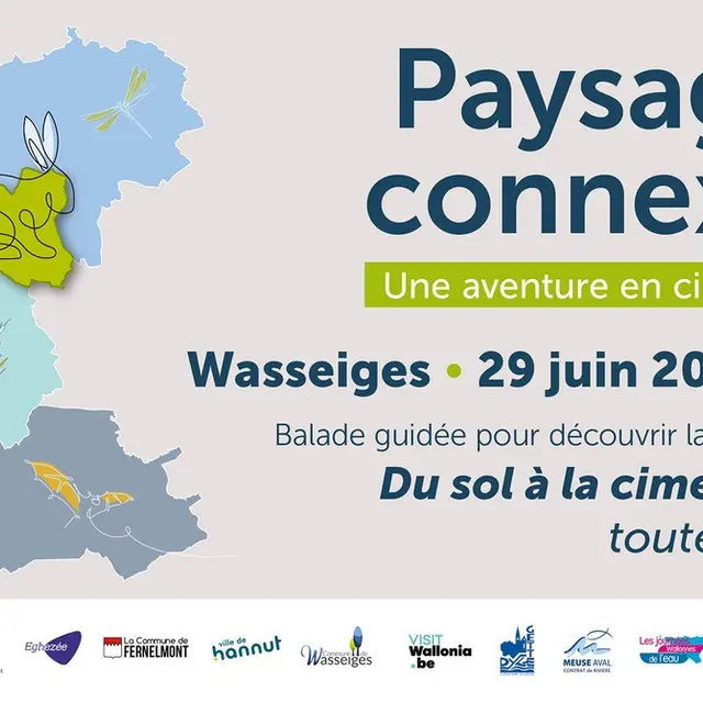 Banner-event-Wasseiges-ok