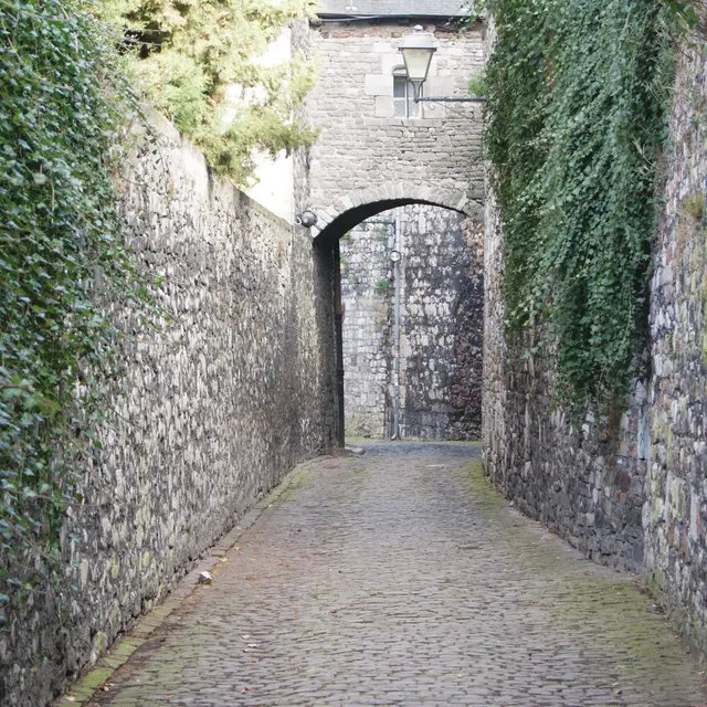 Vieux_huy-c-braida