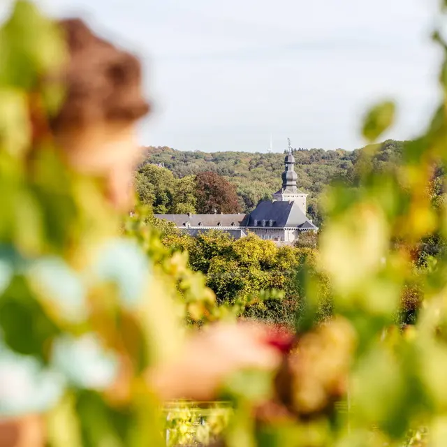 Chateau de fumal