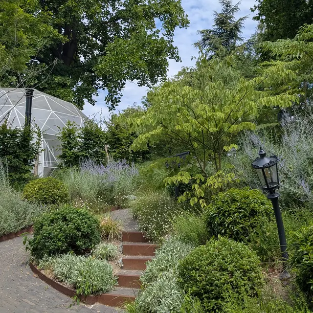 PXL_20250625_114536137 (1)