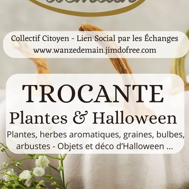 Trocante (1)