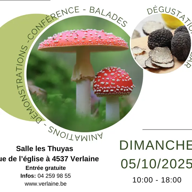 Affiche expo champignon 2025 1-1 (1)