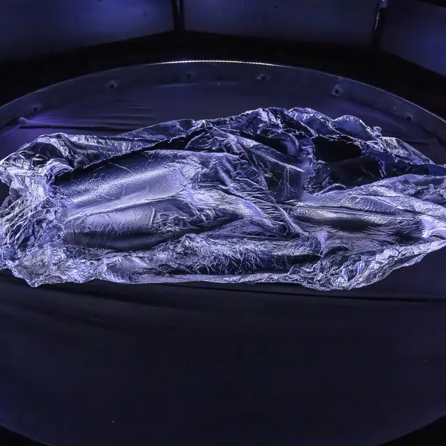 Anatomie du désir