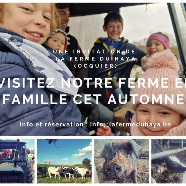 Visites famille ferme du haya
