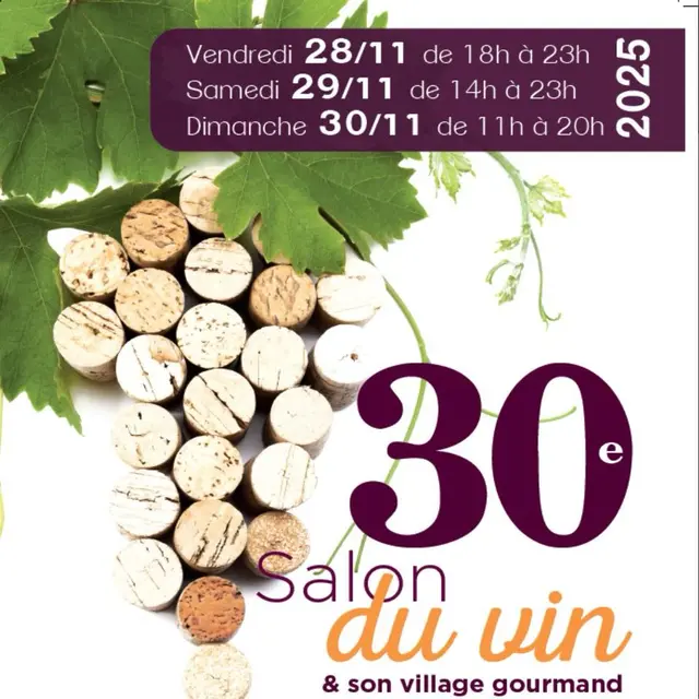 Salon vin hannut novembre 2025