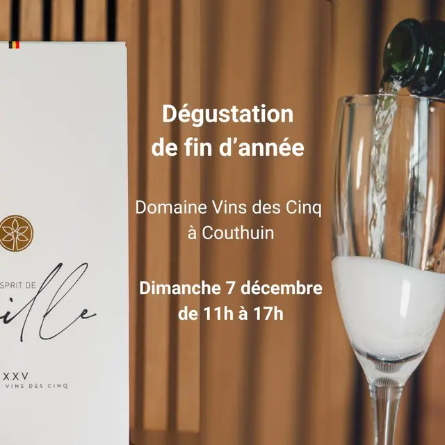 Dégustation VIns des Cinq