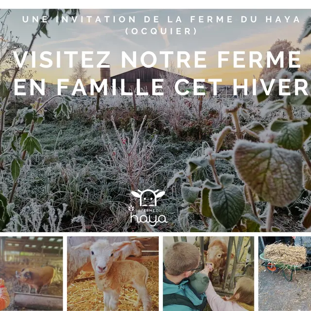 Visites familles ferme du Haya