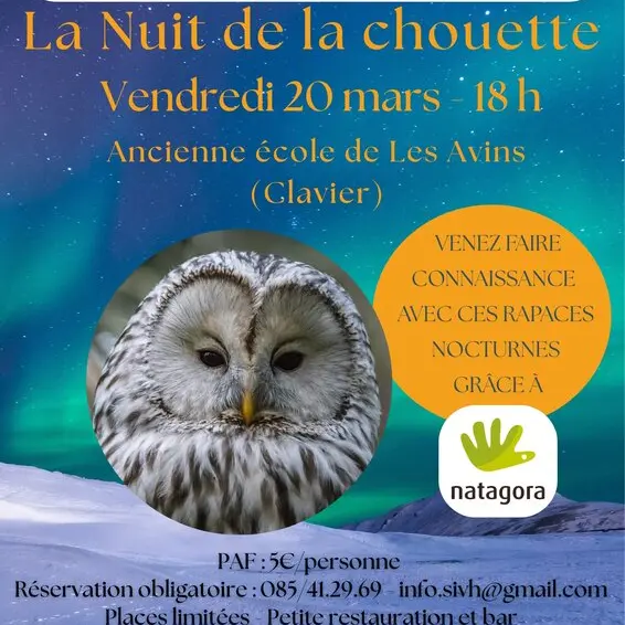 Nuit de la chouette - les avins